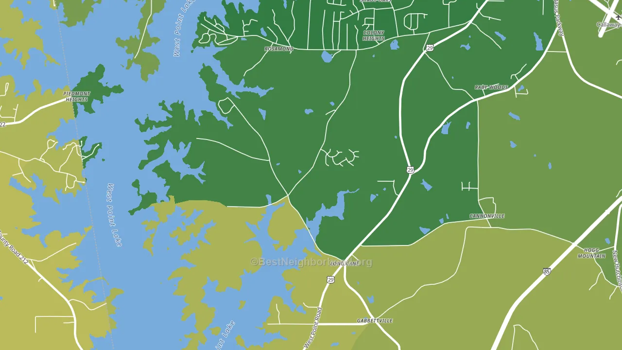 Long Cane, GA block-group voter-turnout map