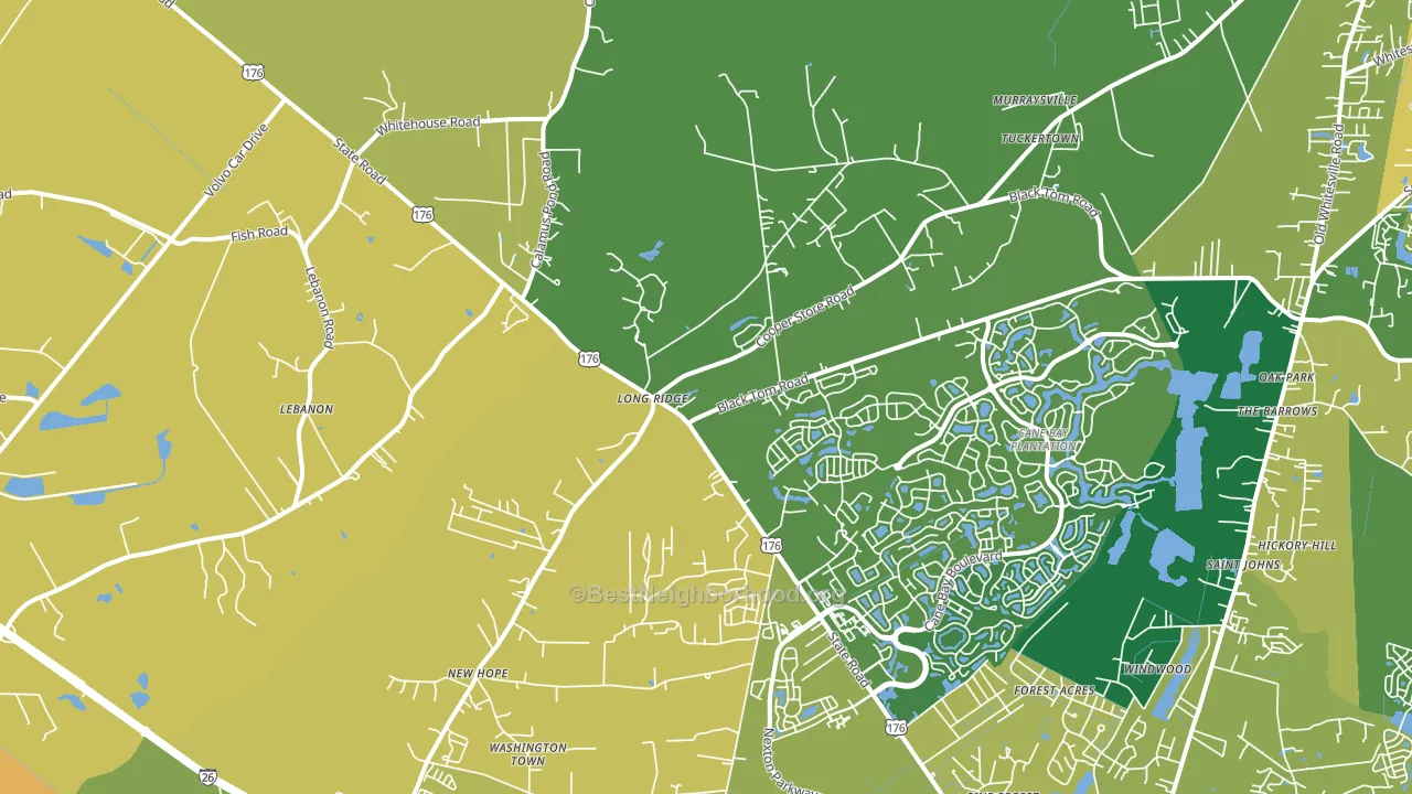 Long Ridge, SC block-group voter-turnout map