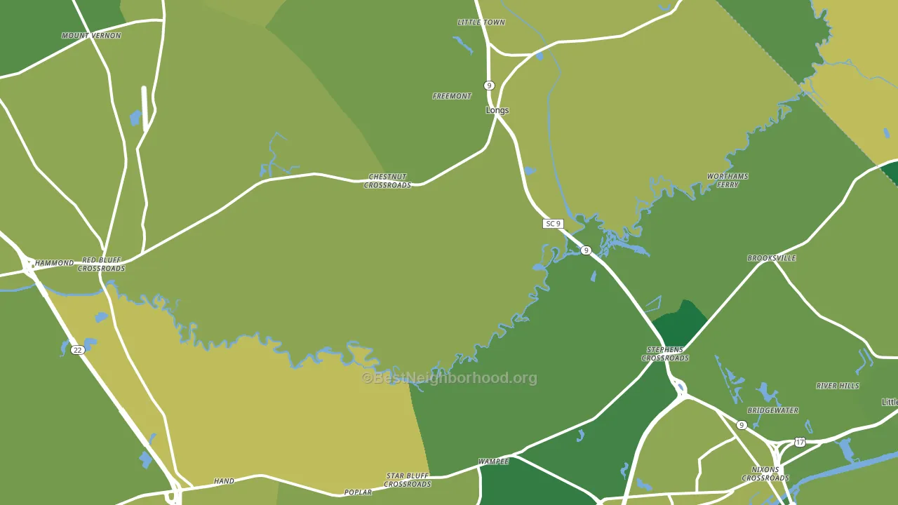 Longs, SC block-group voter-turnout map