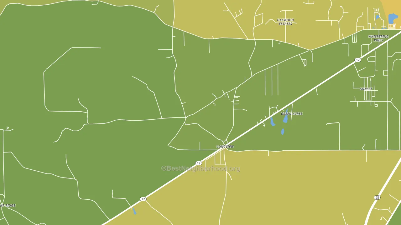 Longview, MS block-group voter-turnout map