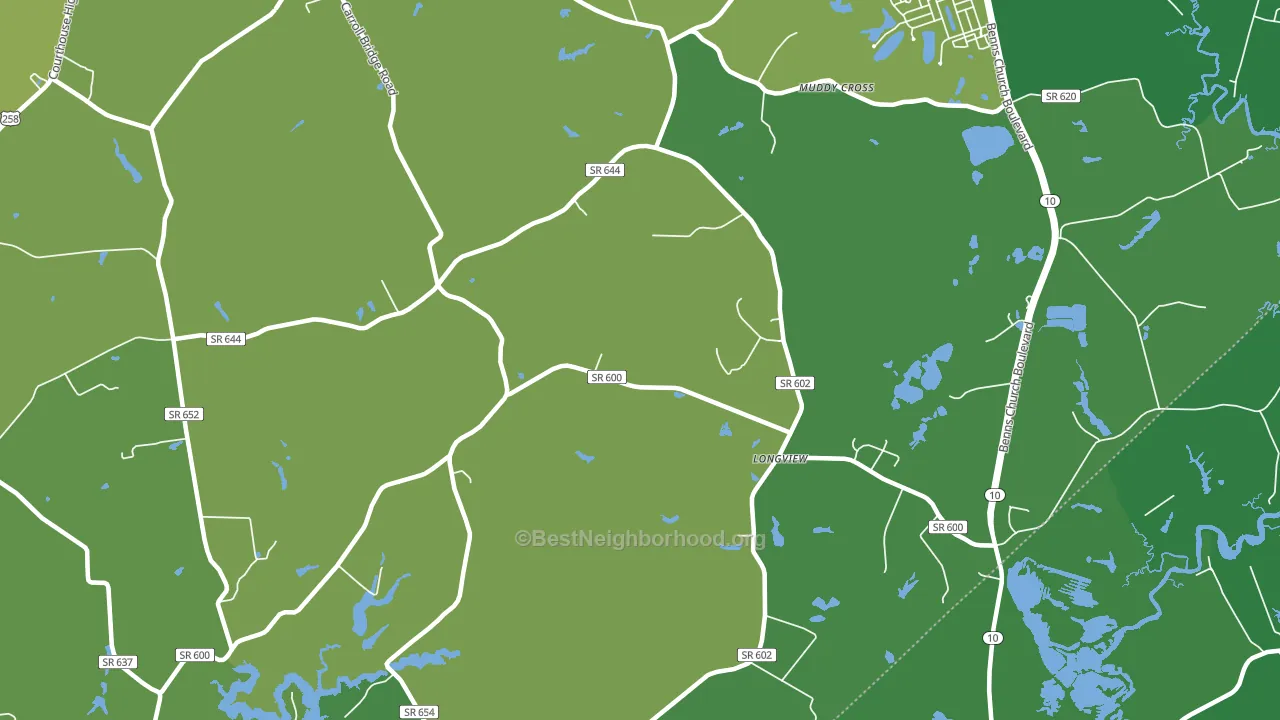 Longview, VA block-group voter-turnout map