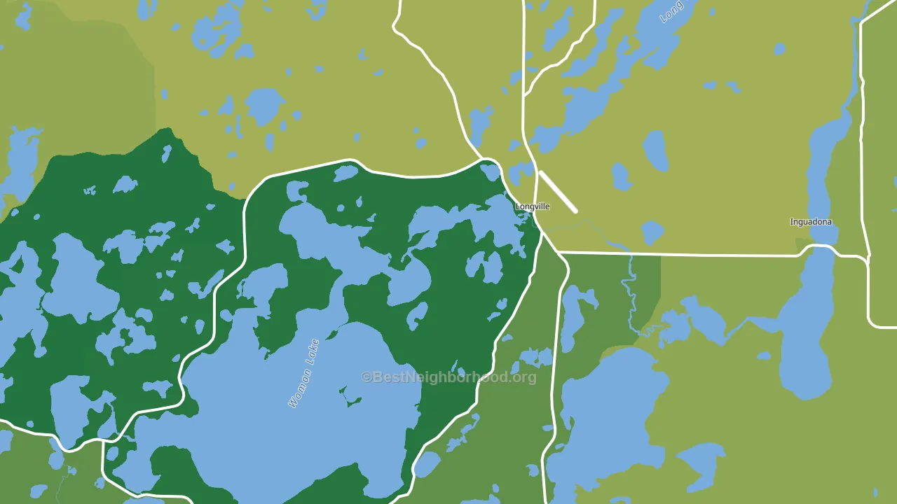 Longville, MN block-group voter-turnout map