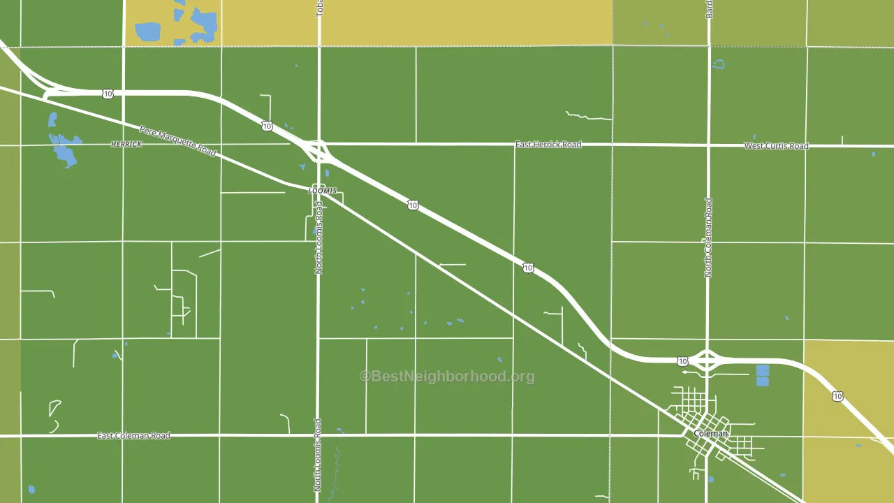 Loomis, MI block-group voter-turnout map