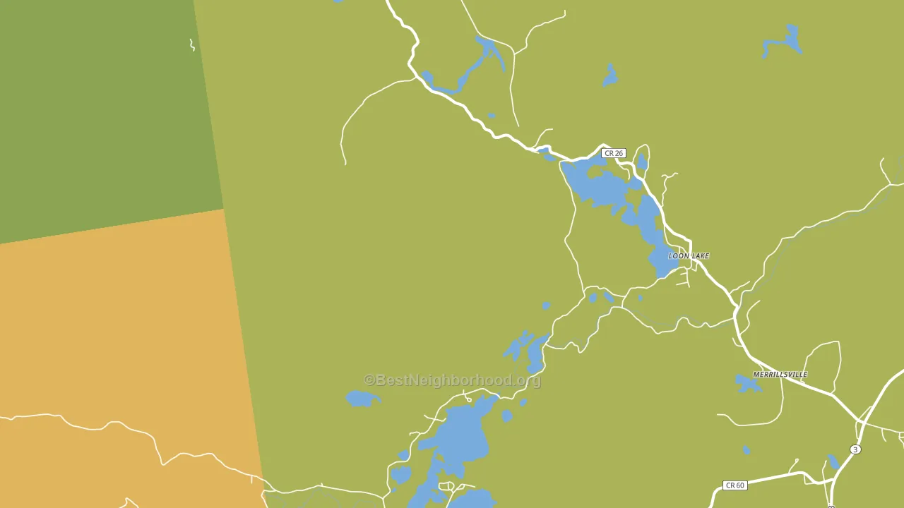 Loon Lake, NY block-group voter-turnout map