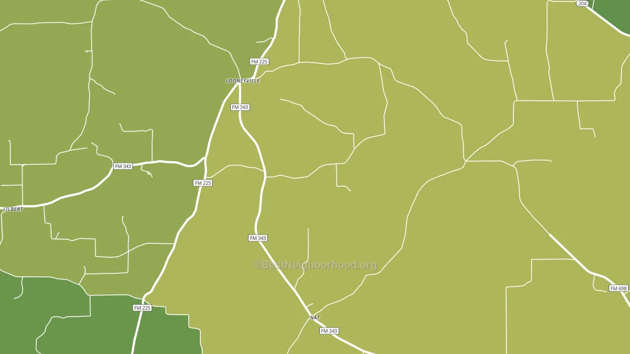 Looneyville, TX block-group voter-turnout map