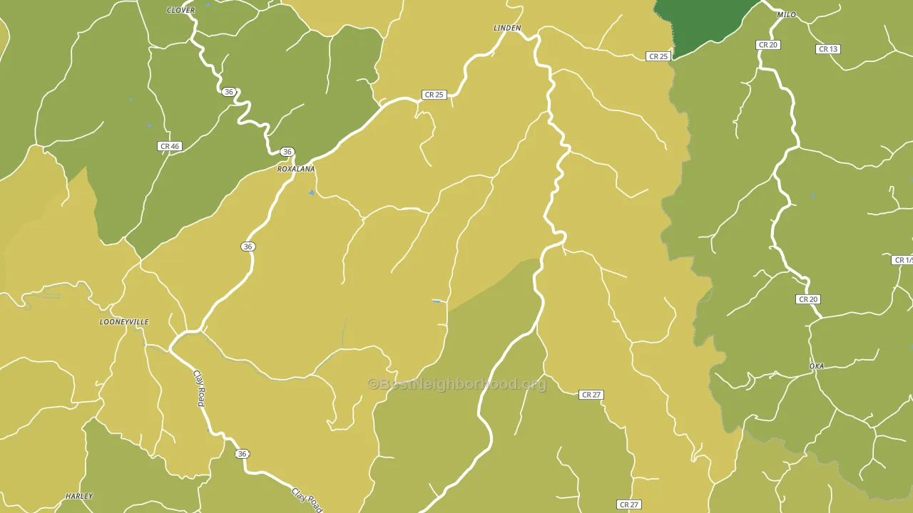 Looneyville, WV block-group voter-turnout map