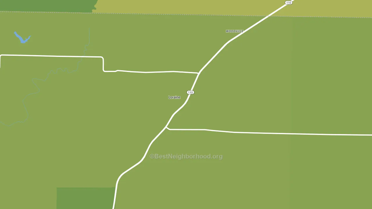 Loraine, IL block-group voter-turnout map