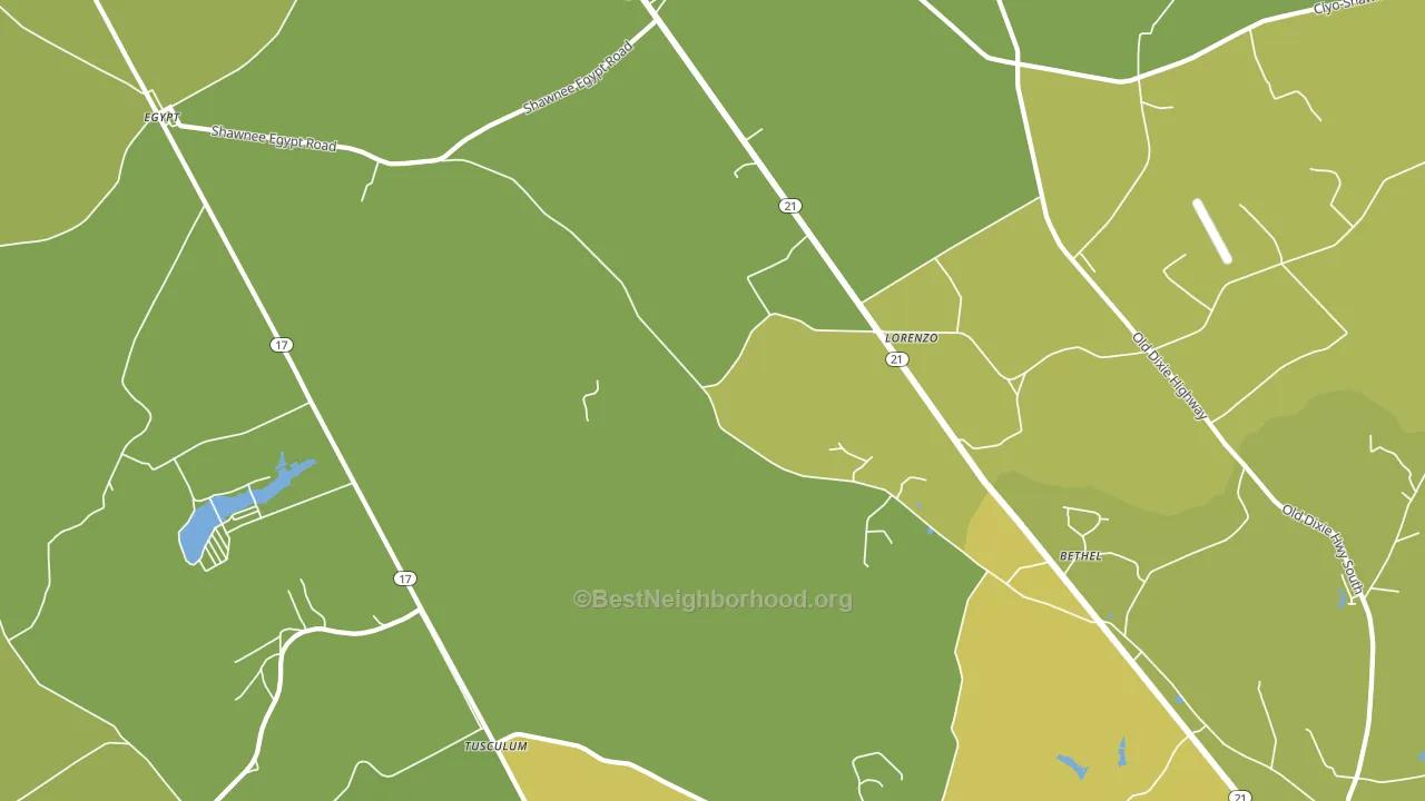 Lorenzo, GA block-group voter-turnout map
