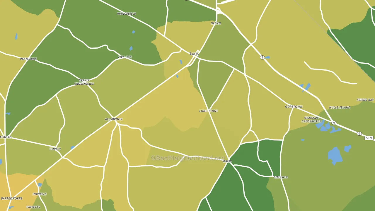 Loris, SC block-group voter-turnout map