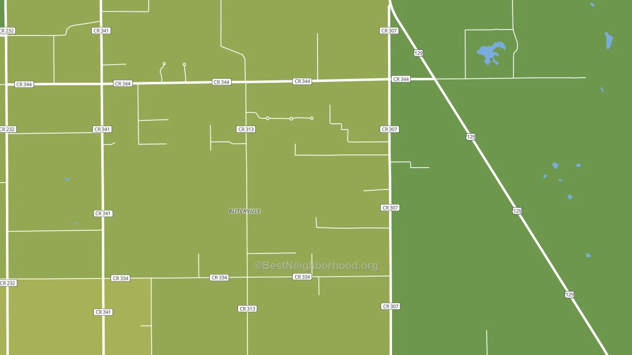 Lottieville, FL block-group voter-turnout map