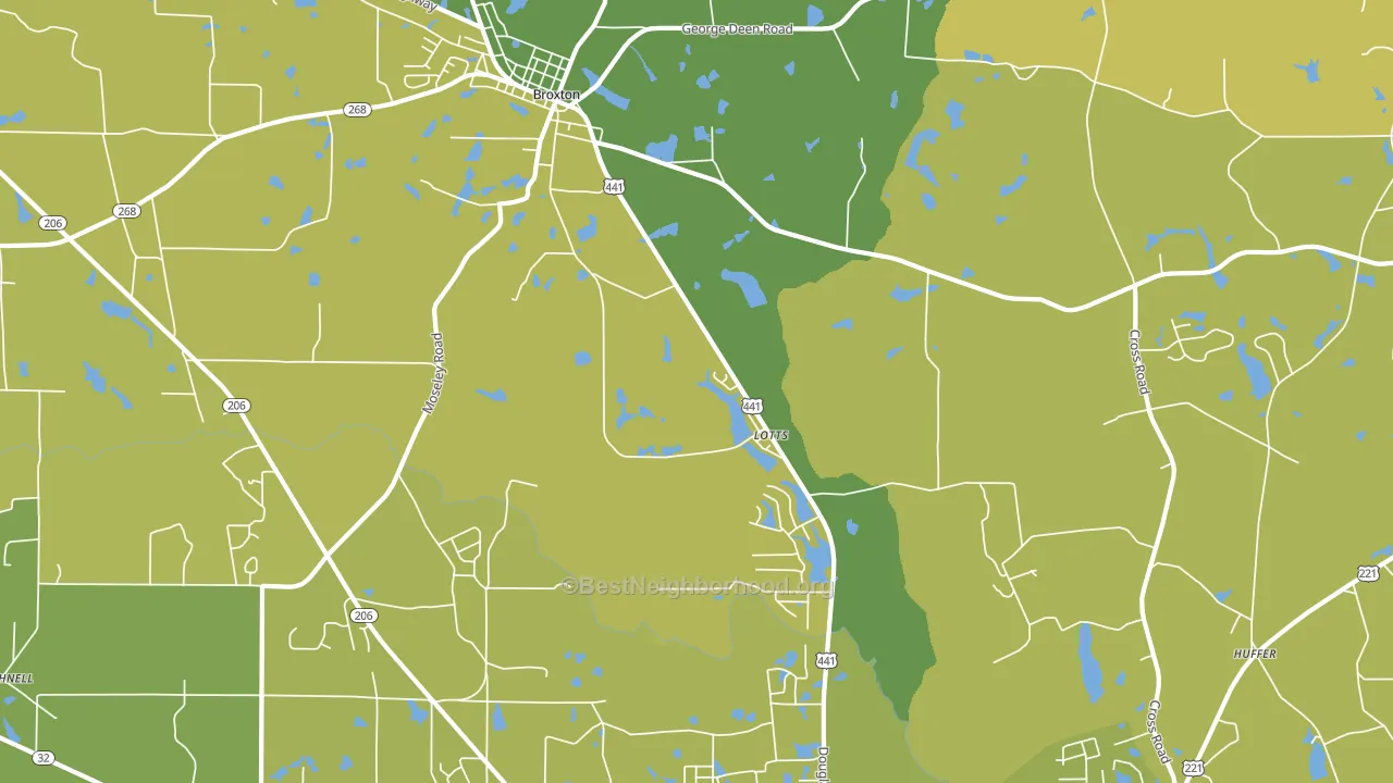 Lotts, GA block-group voter-turnout map