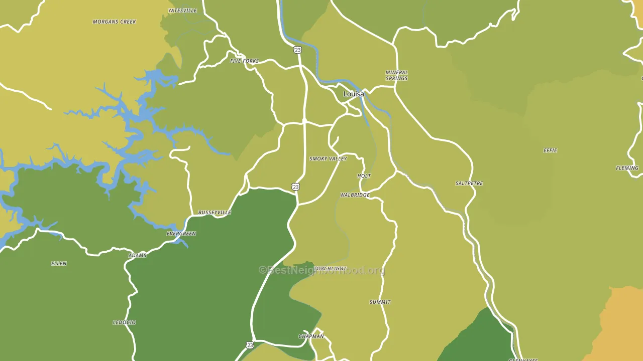 Louisa, KY block-group voter-turnout map