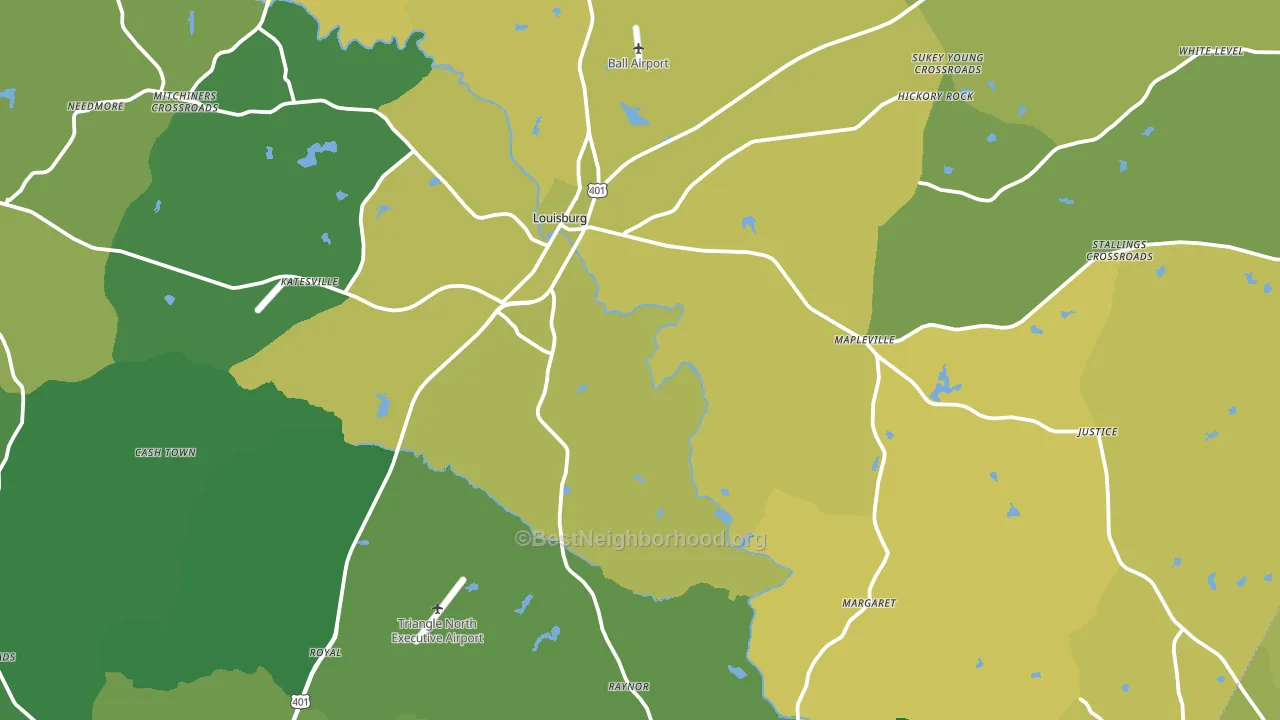 Louisburg, NC block-group voter-turnout map