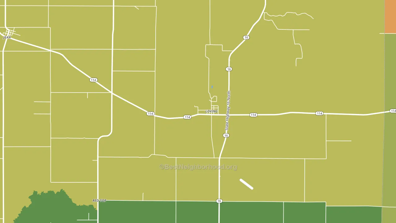 Loving, TX block-group voter-turnout map