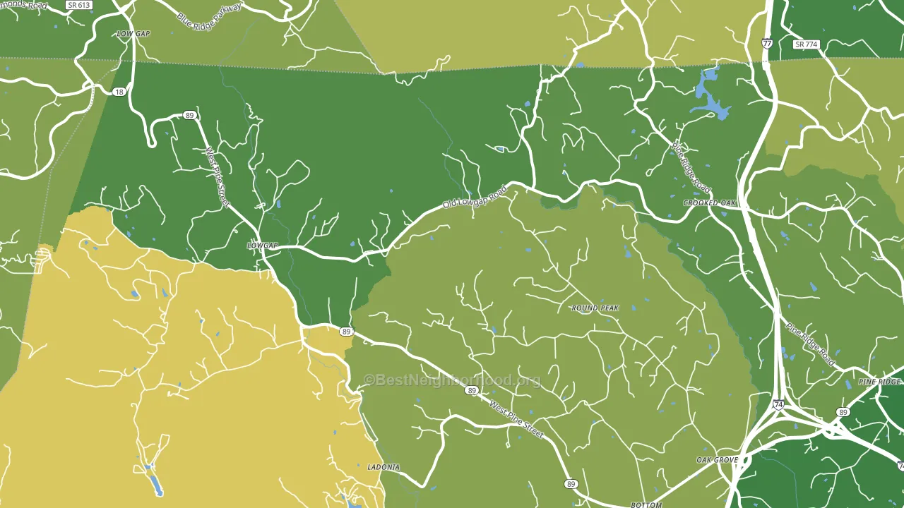 Lowgap, NC block-group voter-turnout map