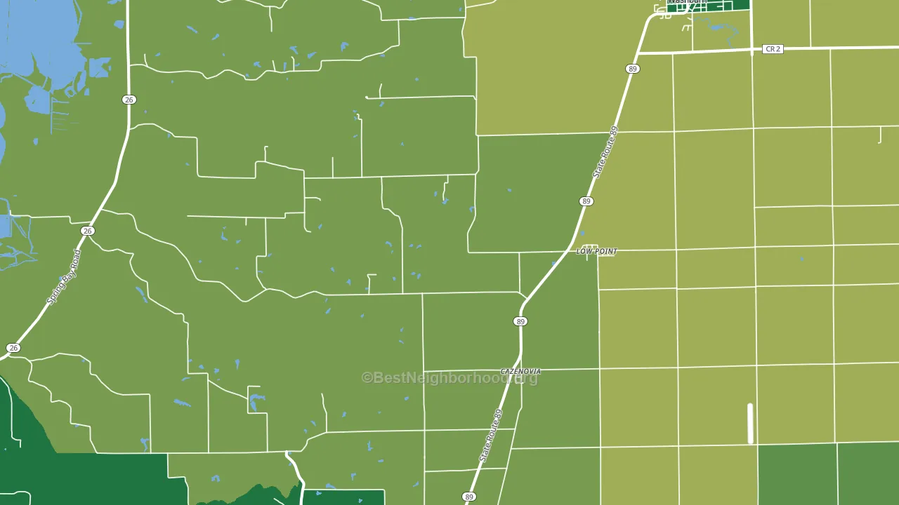 Lowpoint, IL block-group voter-turnout map