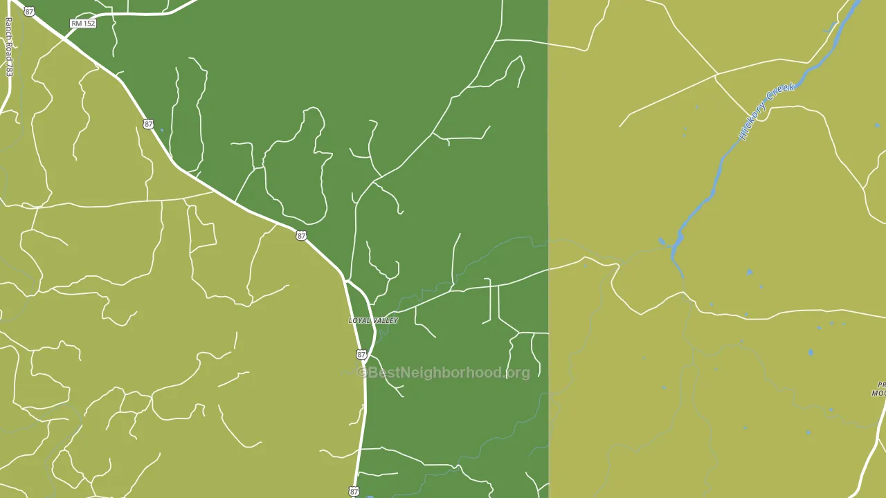Loyal Valley, TX block-group voter-turnout map