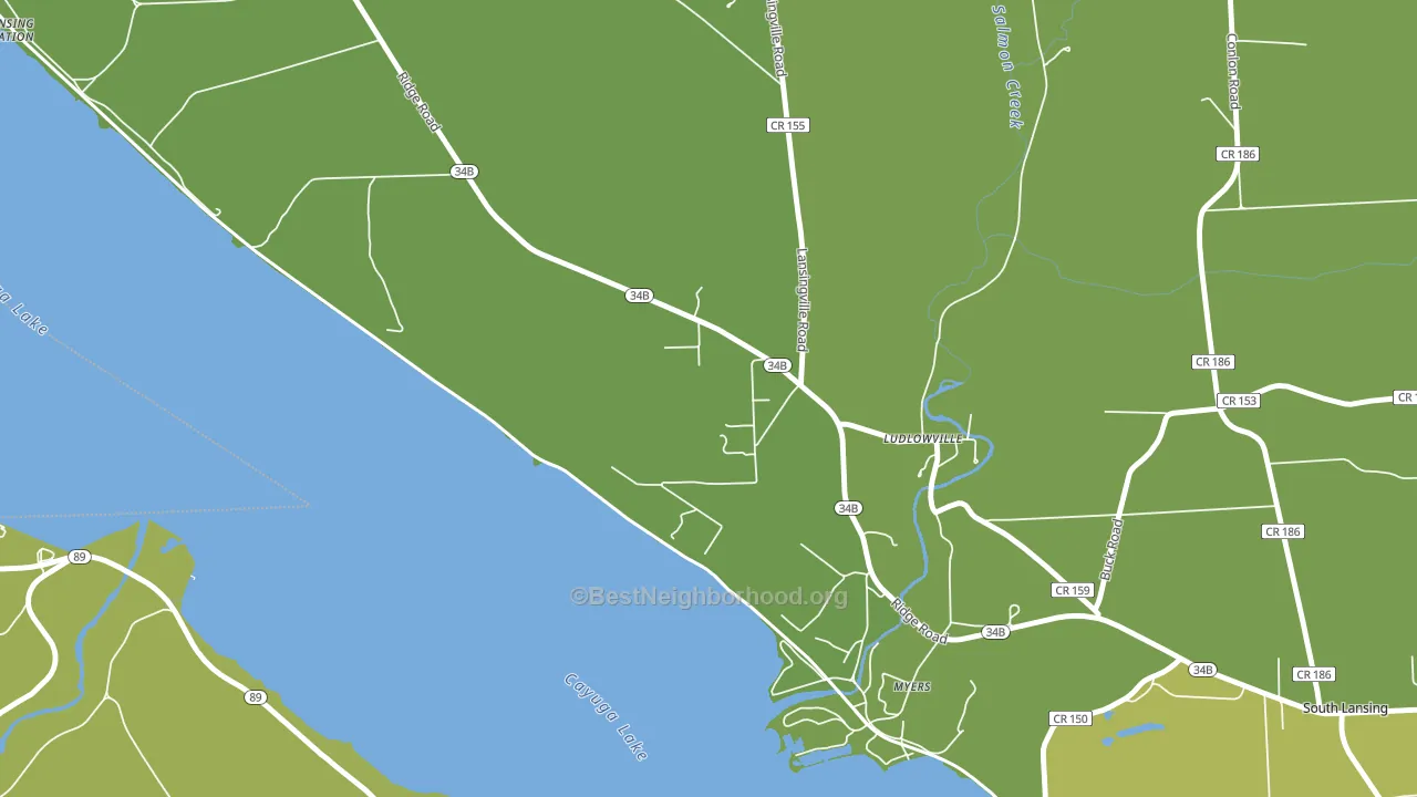 Ludlowville, NY block-group voter-turnout map
