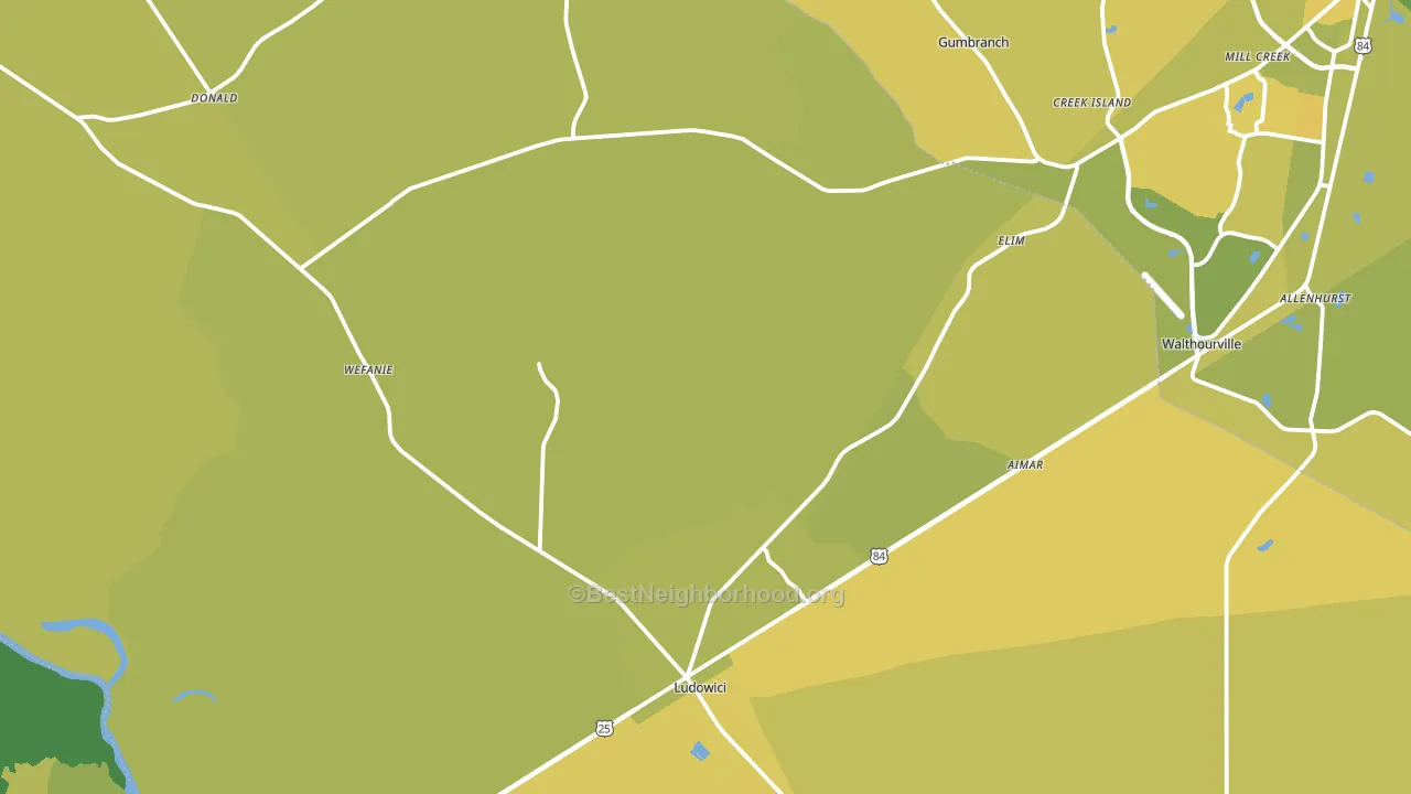 Ludowici, GA block-group voter-turnout map