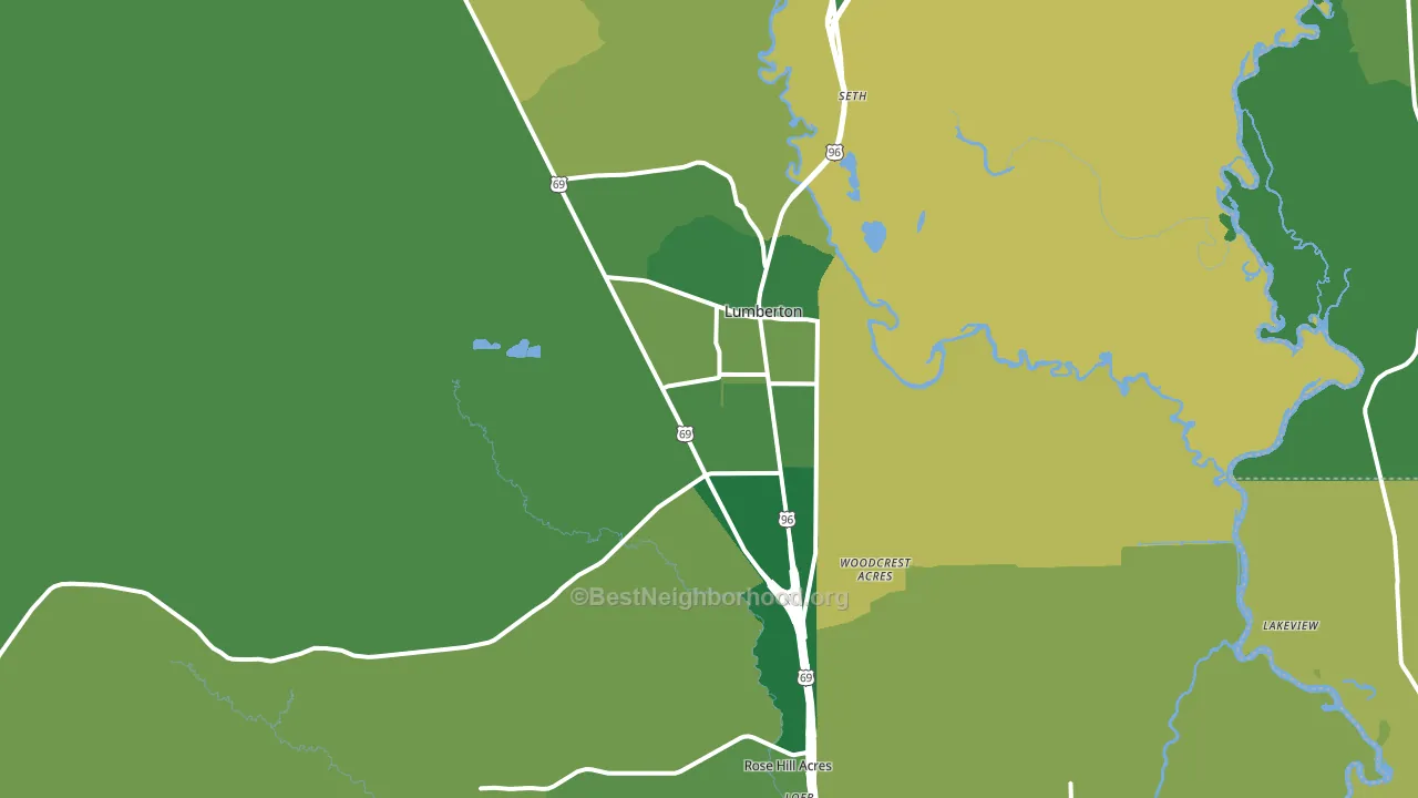 Lumberton, TX block-group voter-turnout map