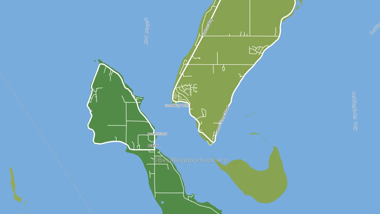 Lummi Island, WA block-group voter-turnout map