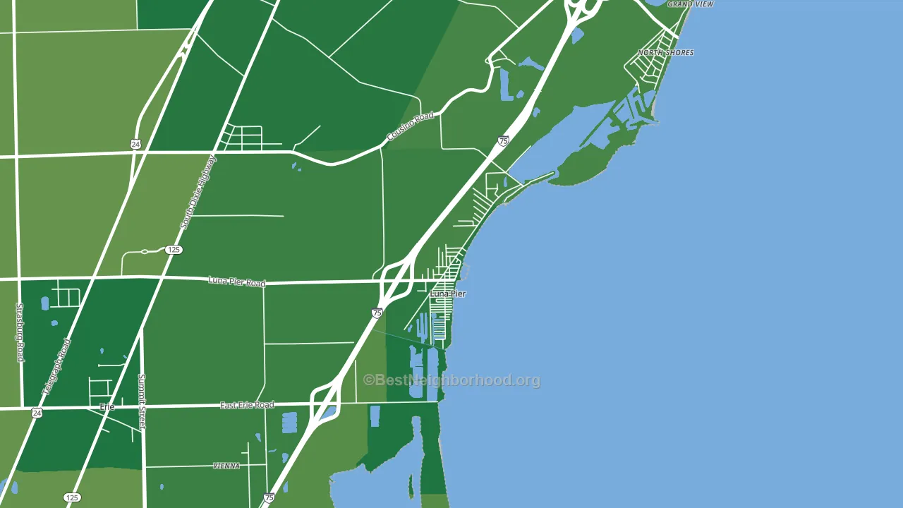 Luna Pier, MI block-group voter-turnout map