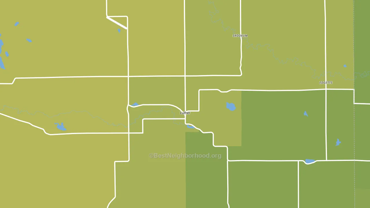 Luther, MI block-group voter-turnout map