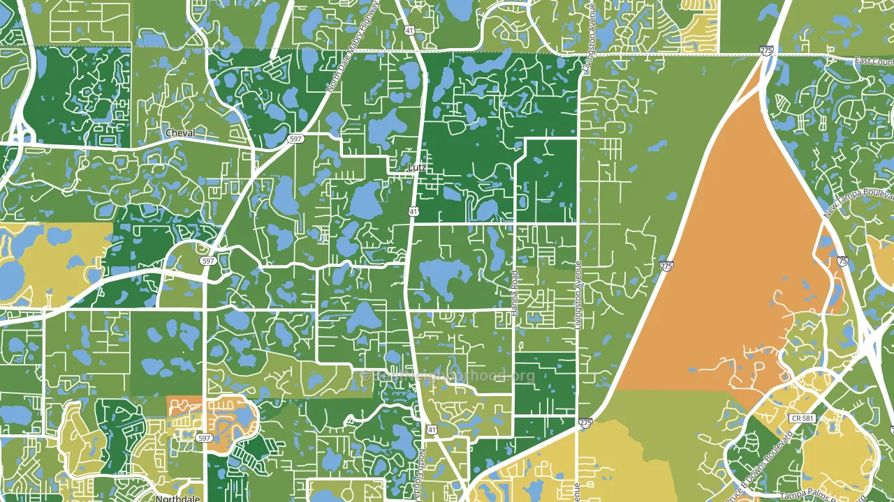 Lutz, FL block-group voter-turnout map