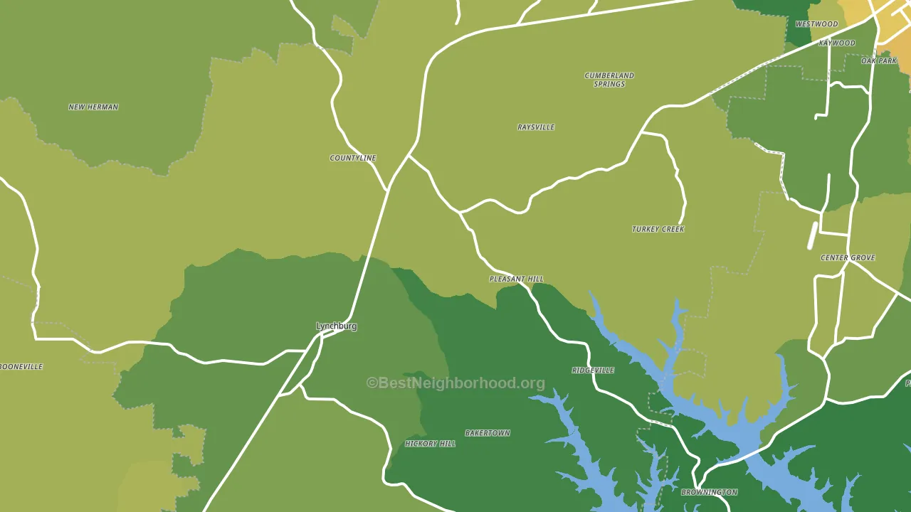 Lynchburg, TN block-group voter-turnout map