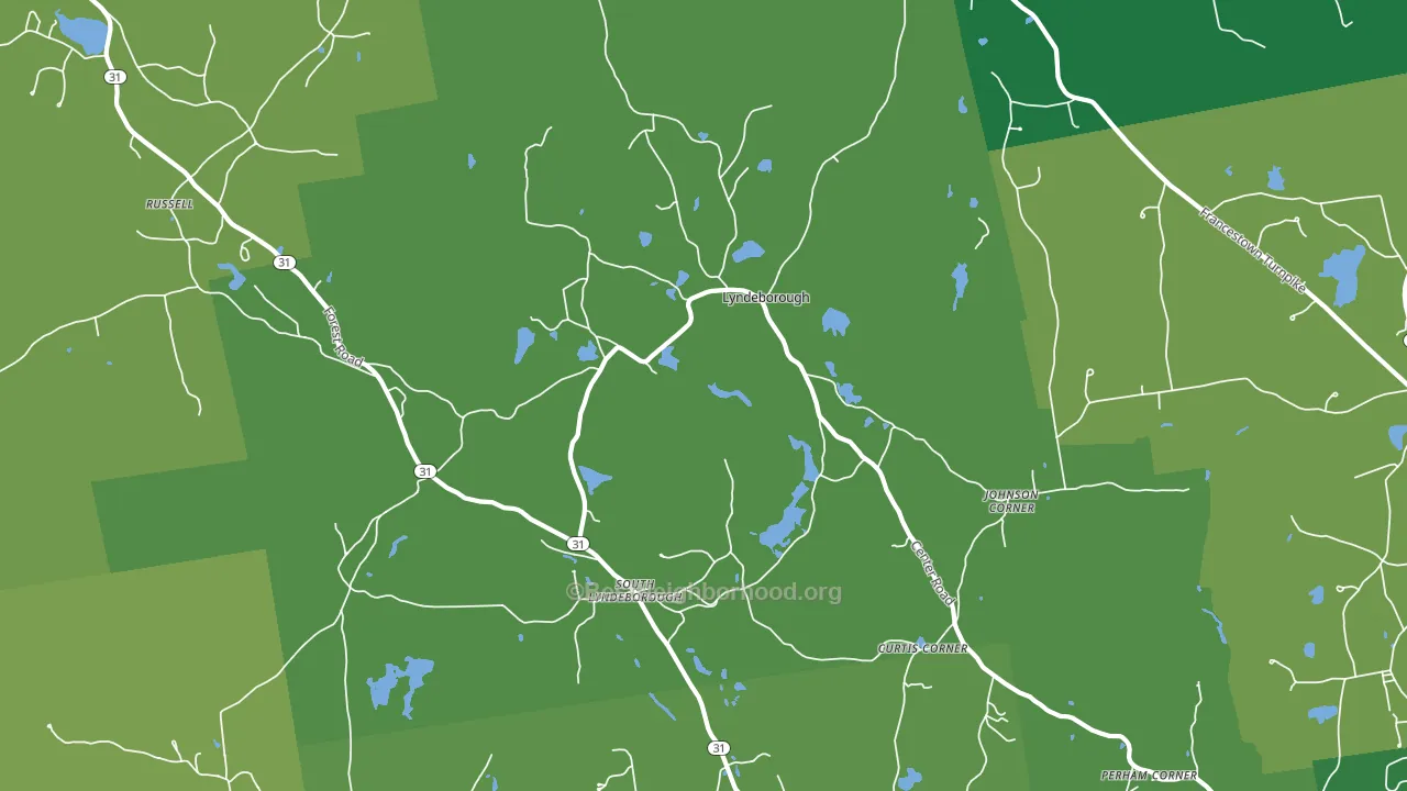 Lyndeborough, NH block-group voter-turnout map