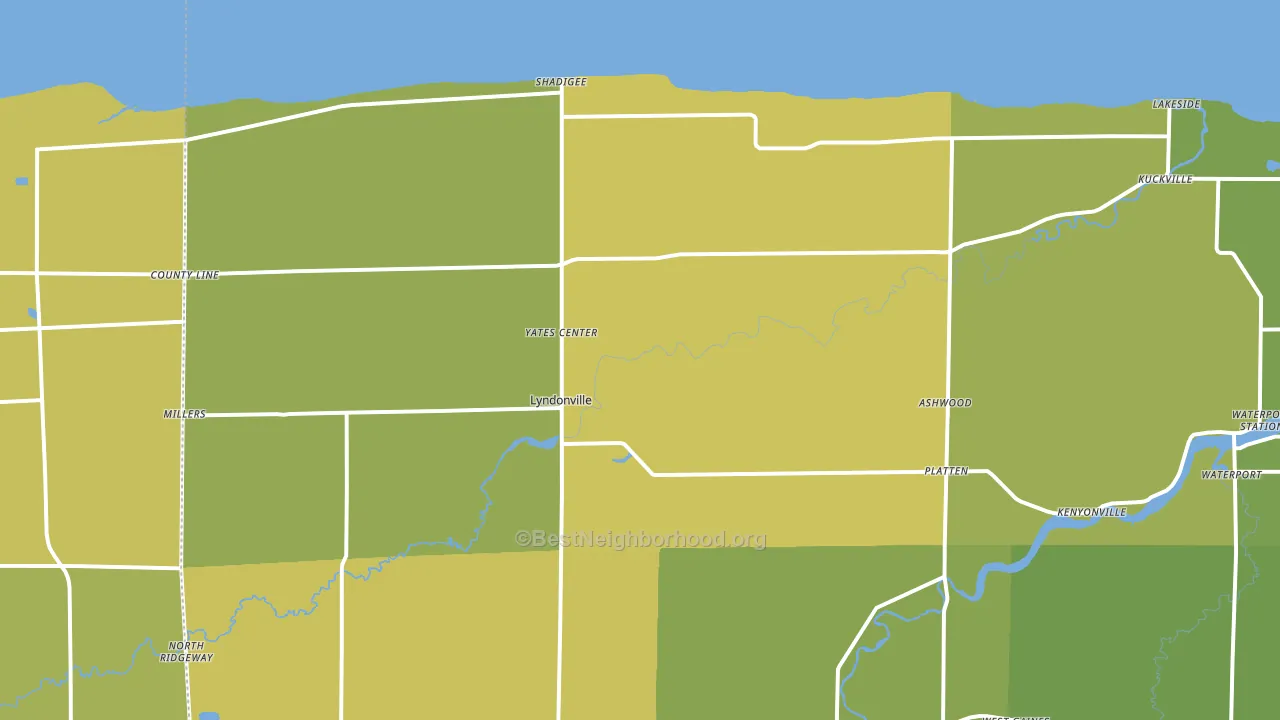 Lyndonville, NY block-group voter-turnout map
