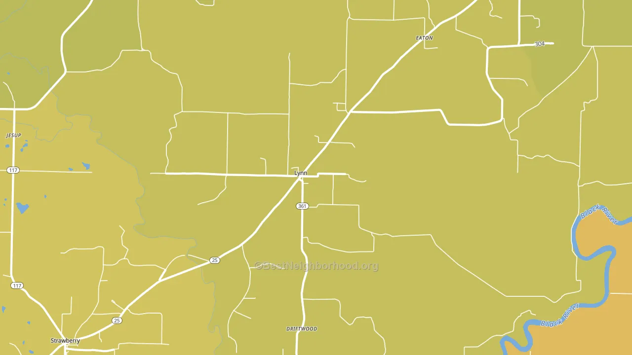 Lynn, AR block-group voter-turnout map