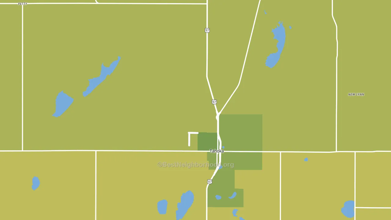 Lynn County, TX block-group voter-turnout map