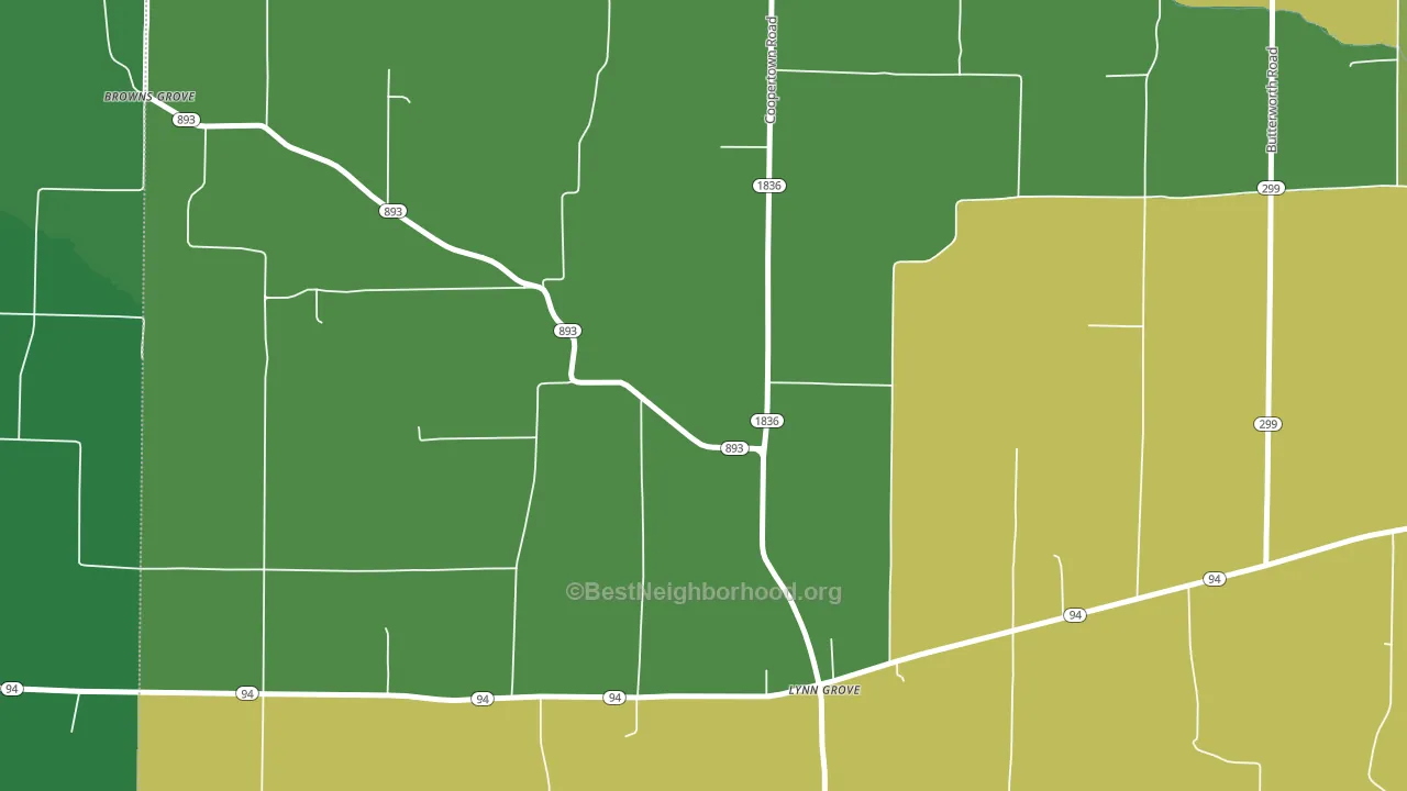 Lynn Grove, KY block-group voter-turnout map