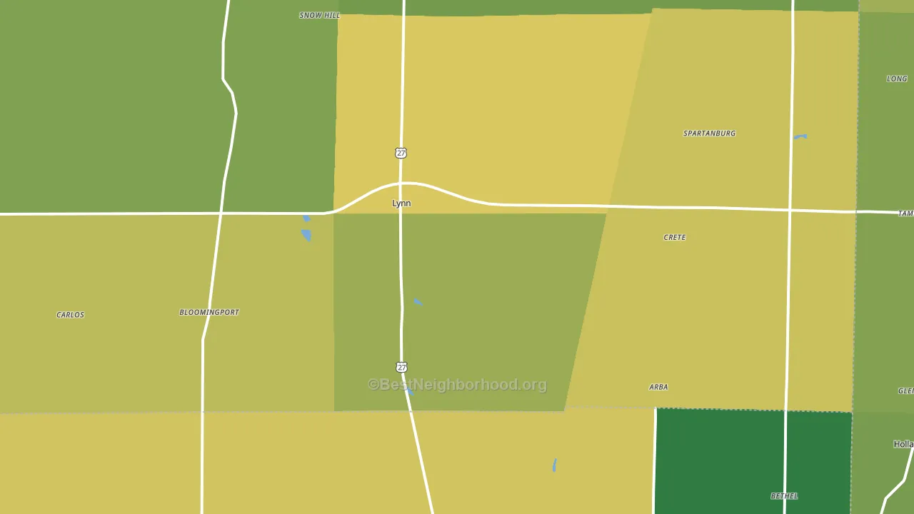Lynn, IN block-group voter-turnout map