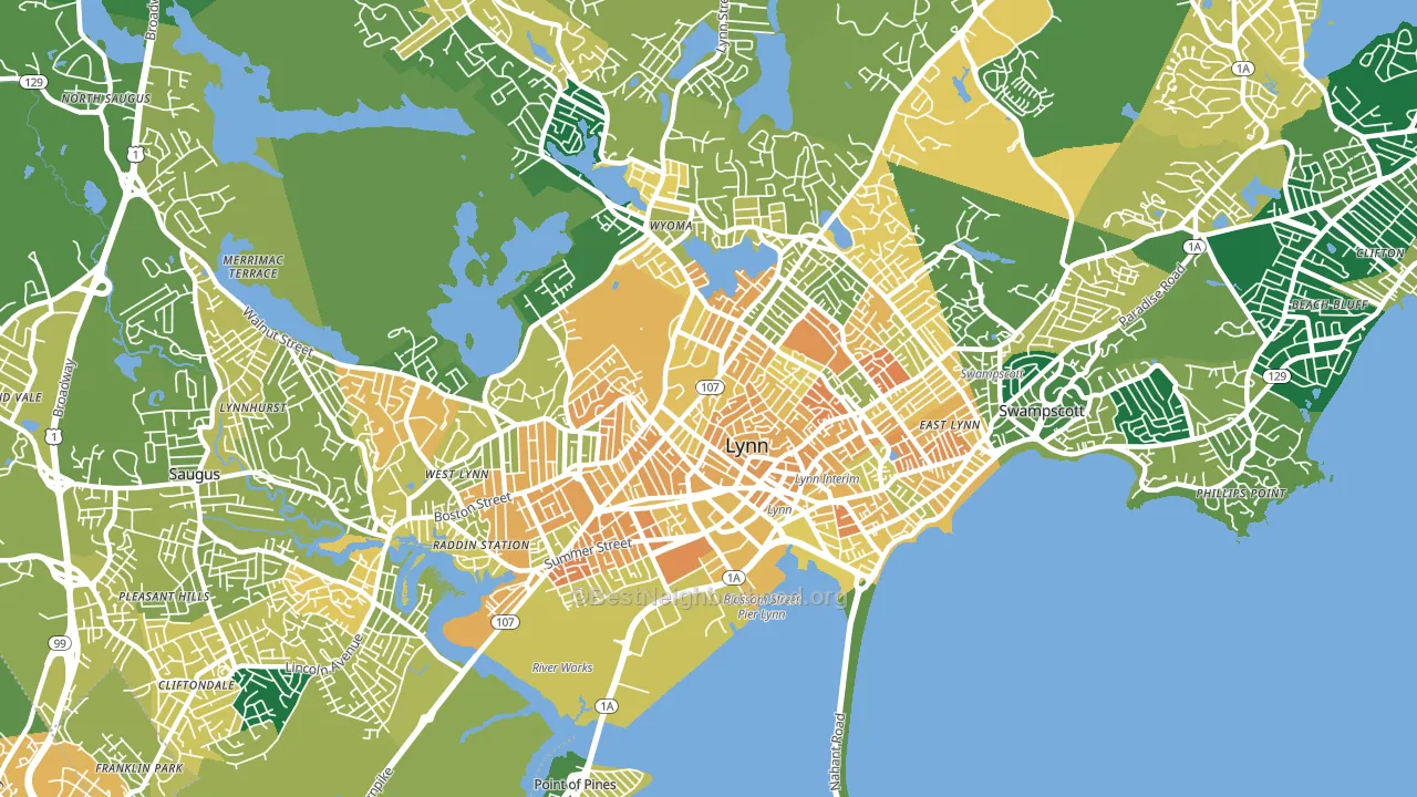 Lynn, MA block-group voter-turnout map