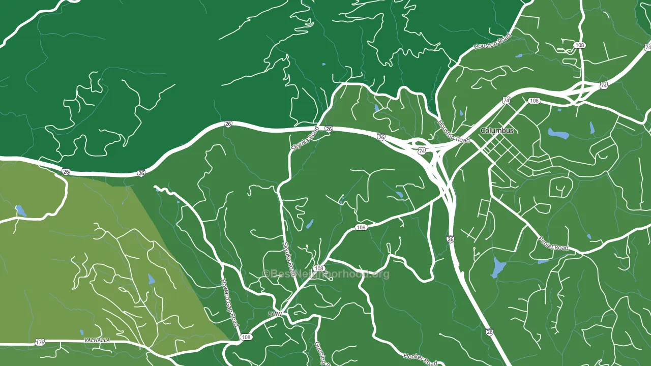 Lynn, NC block-group voter-turnout map