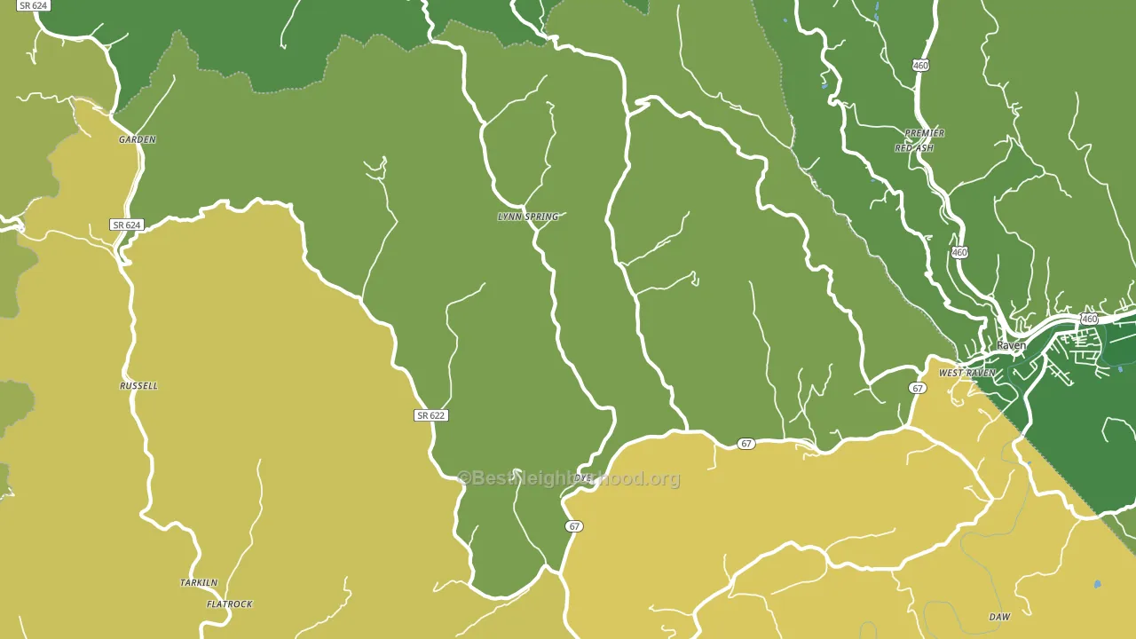 Lynn Spring, VA block-group voter-turnout map
