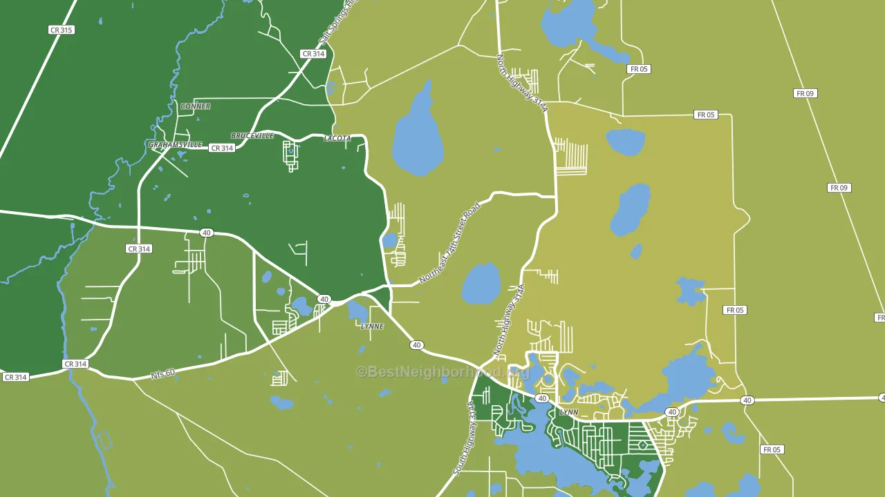 Lynne, FL block-group voter-turnout map