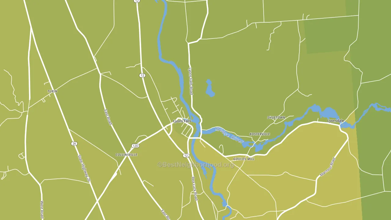 Lyons Falls, NY block-group voter-turnout map