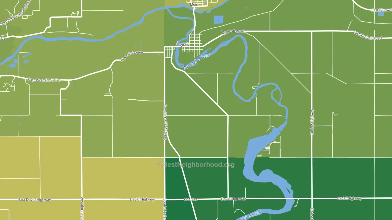 Lyons, MI block-group voter-turnout map