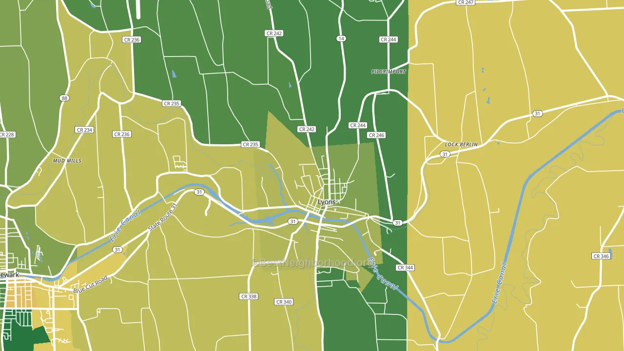 Lyons, NY block-group voter-turnout map
