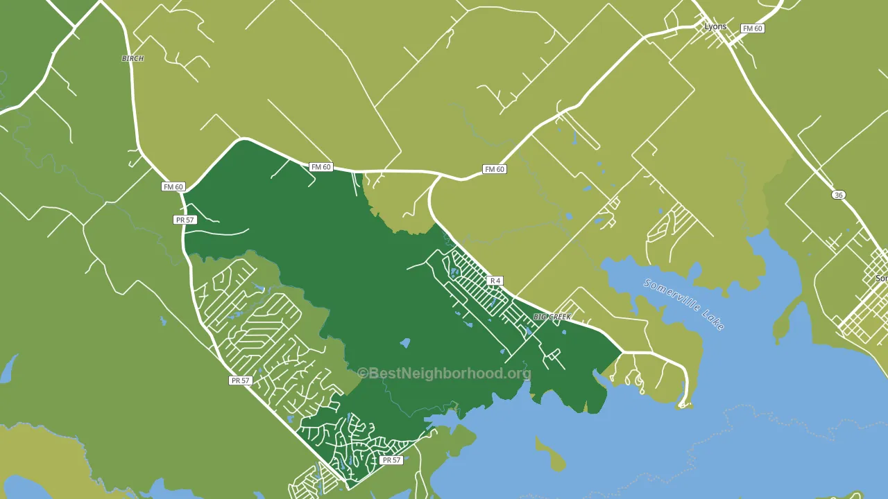 Lyons, TX block-group voter-turnout map