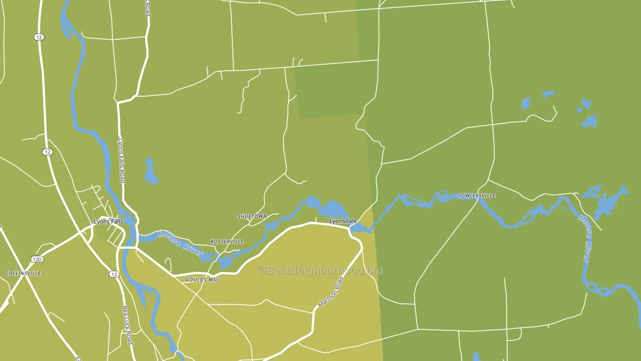 Lyonsdale, NY block-group voter-turnout map