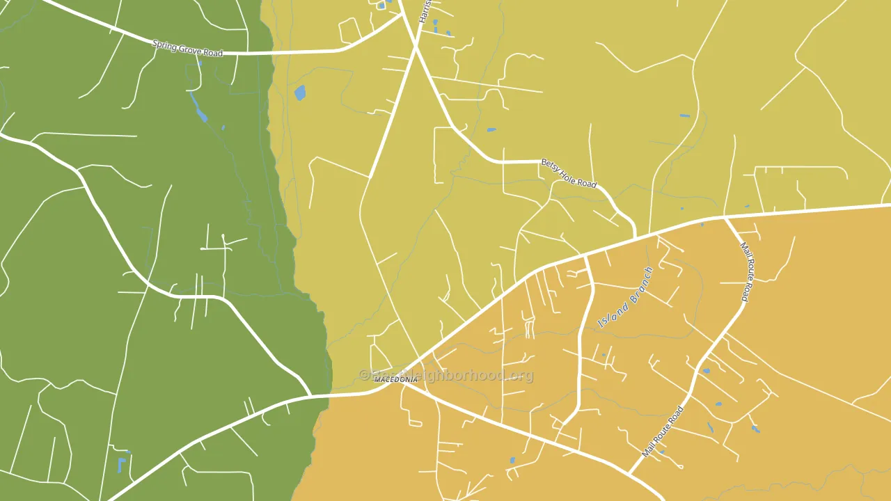 Macbeth, SC block-group voter-turnout map