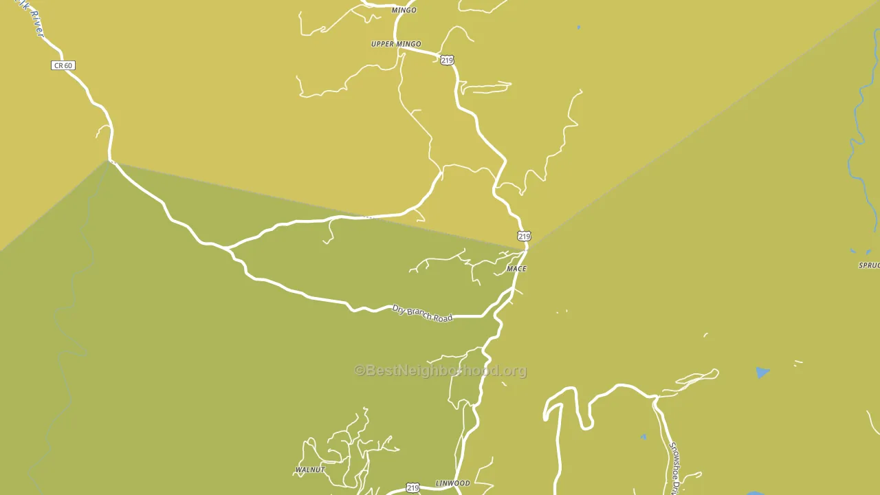 Mace, WV block-group voter-turnout map