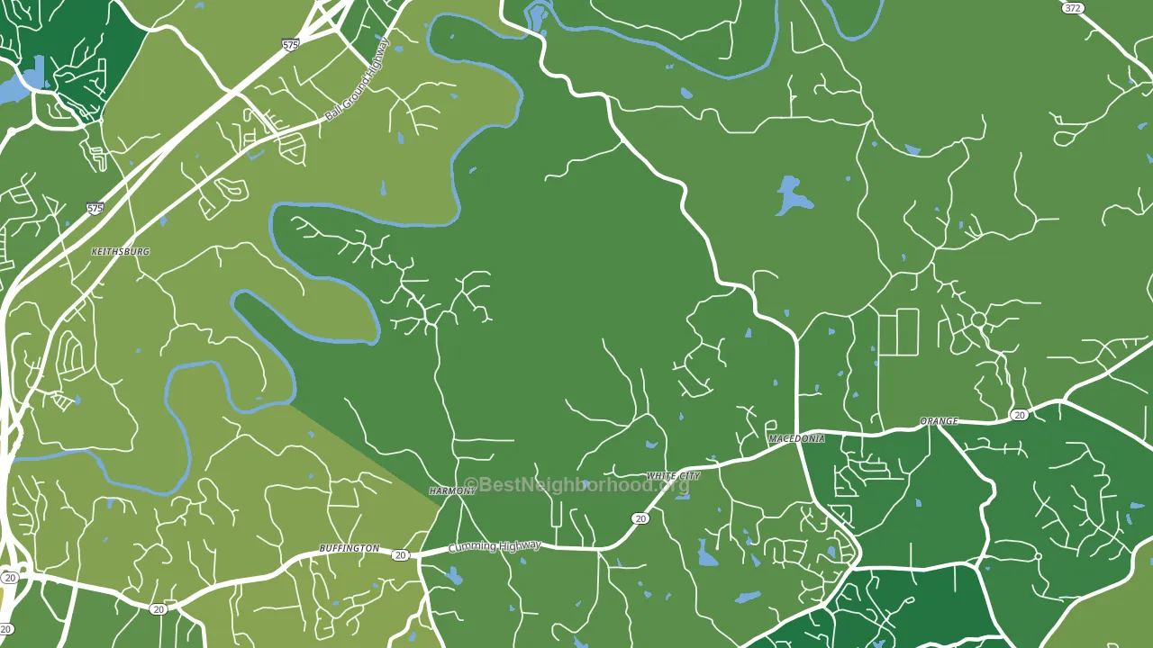 Macedonia, GA block-group voter-turnout map
