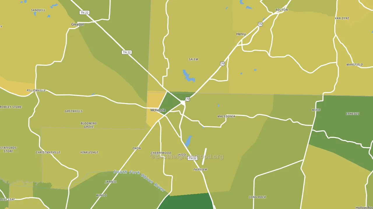 Macedonia, TN block-group voter-turnout map