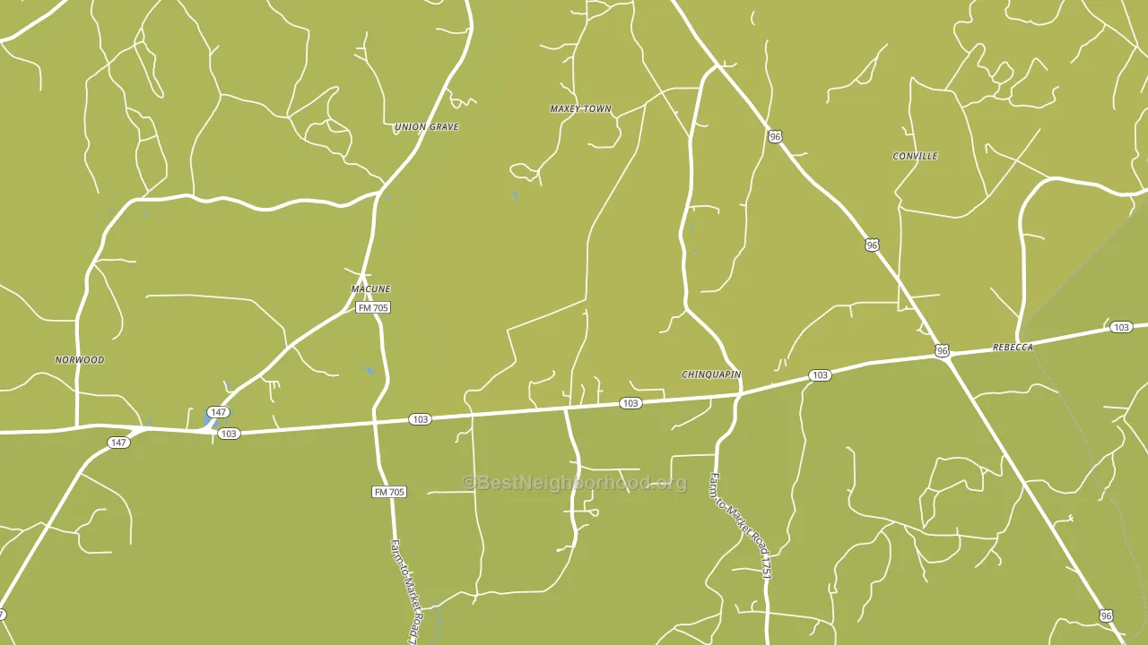 Macune, TX block-group voter-turnout map