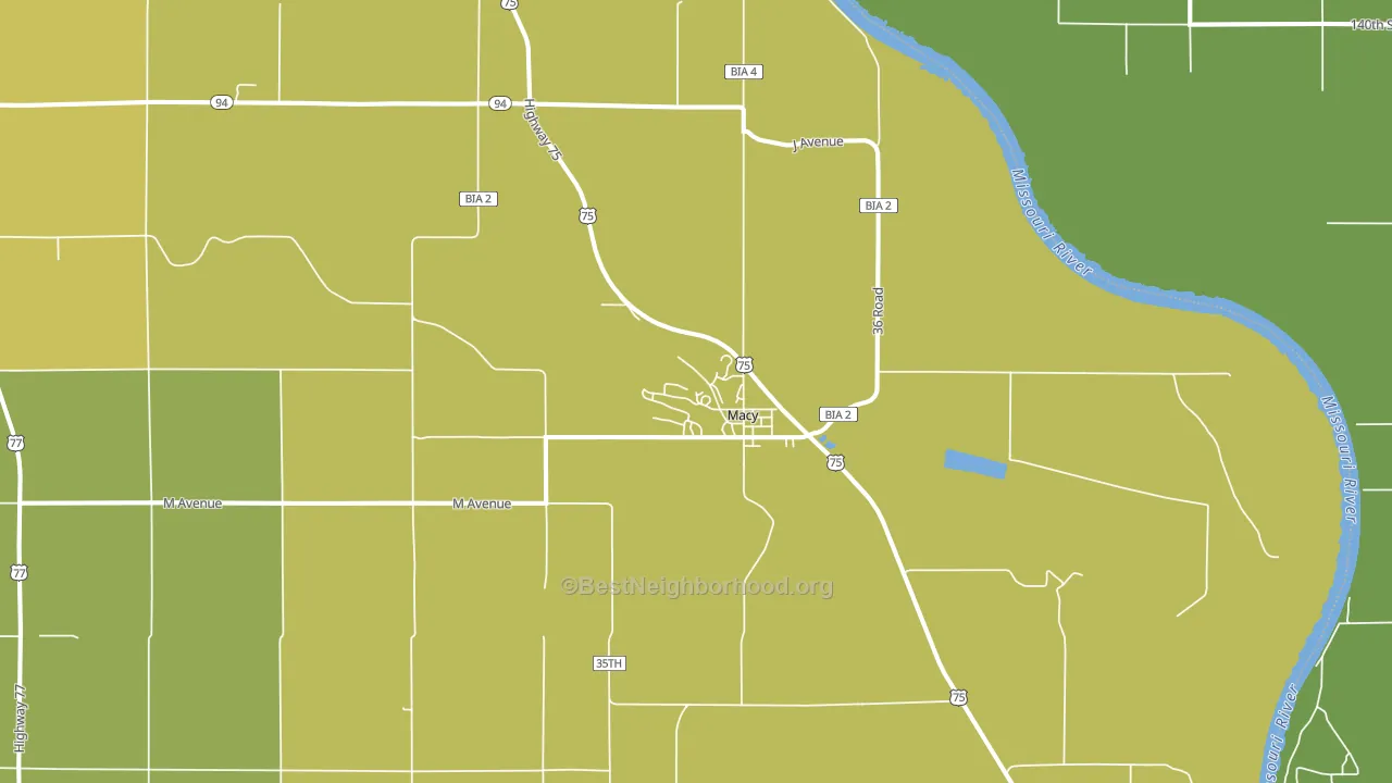 Macy, NE block-group voter-turnout map